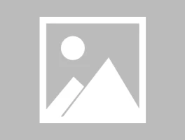 michael burry: what happened and why?